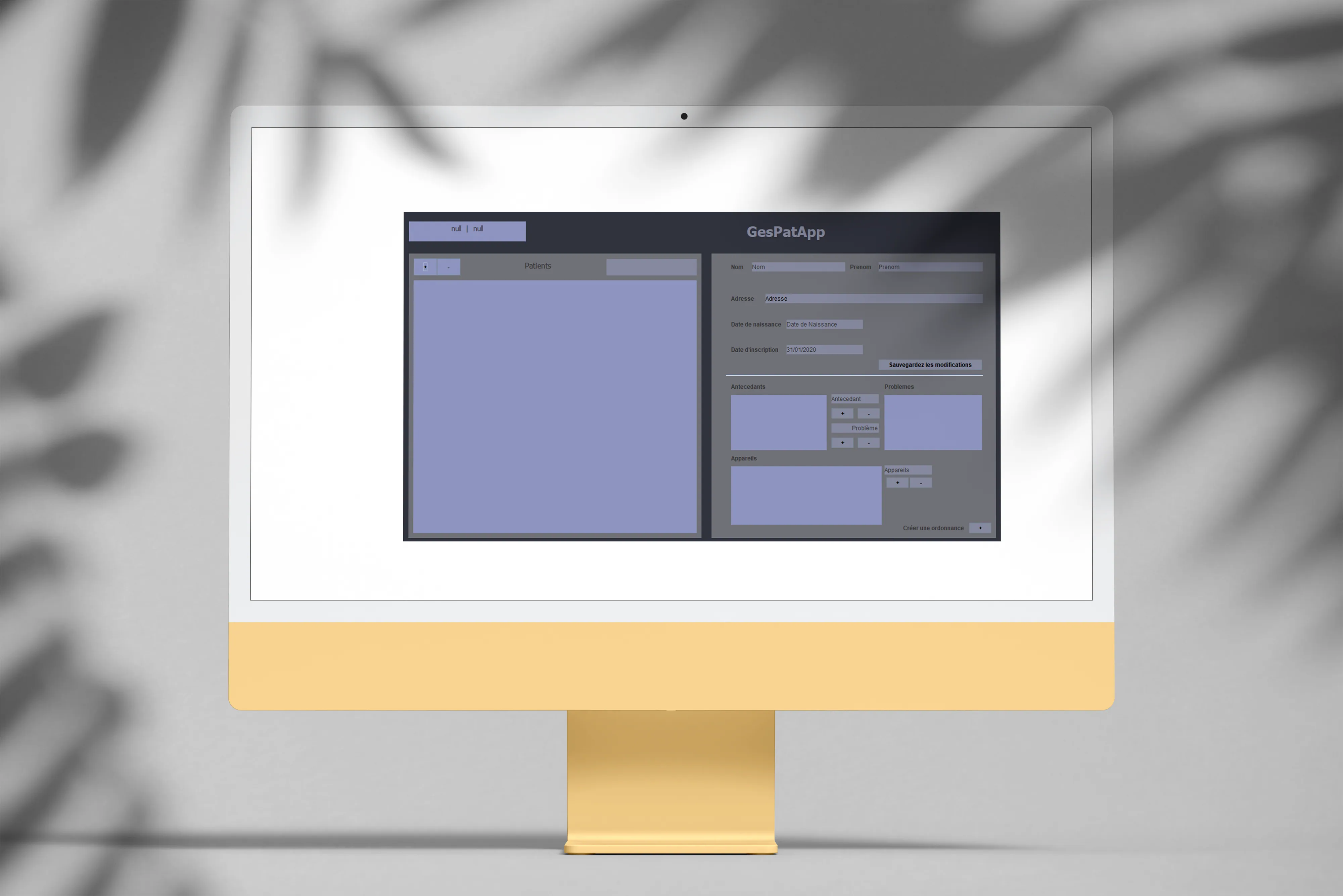 GesPatApp, la gestion d’un centre de santé en Java